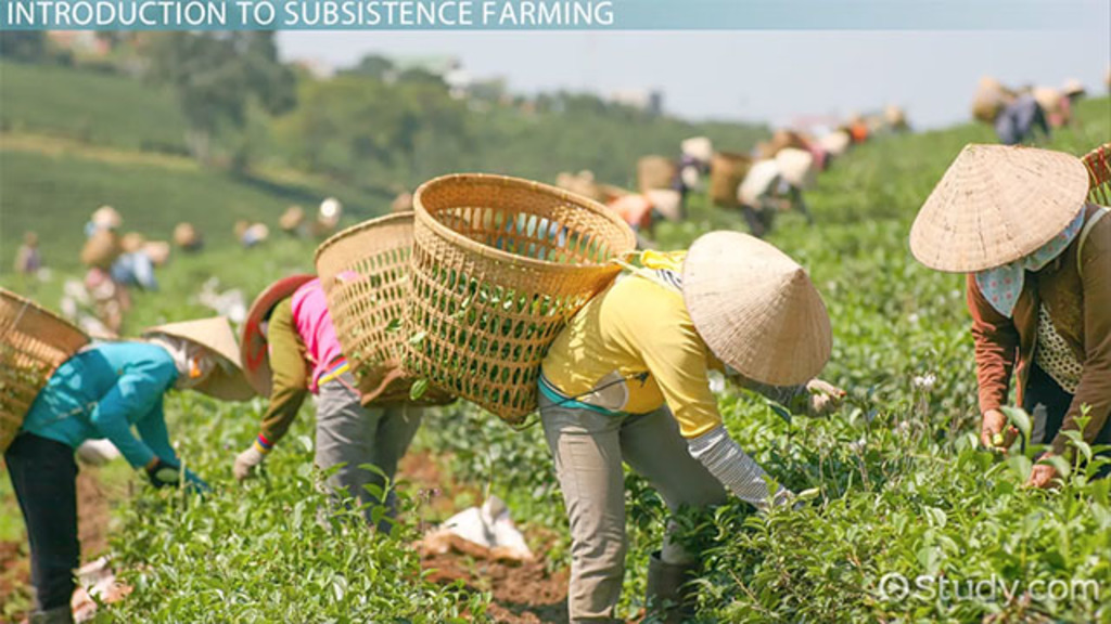 subsistence agriculture examples around the globe