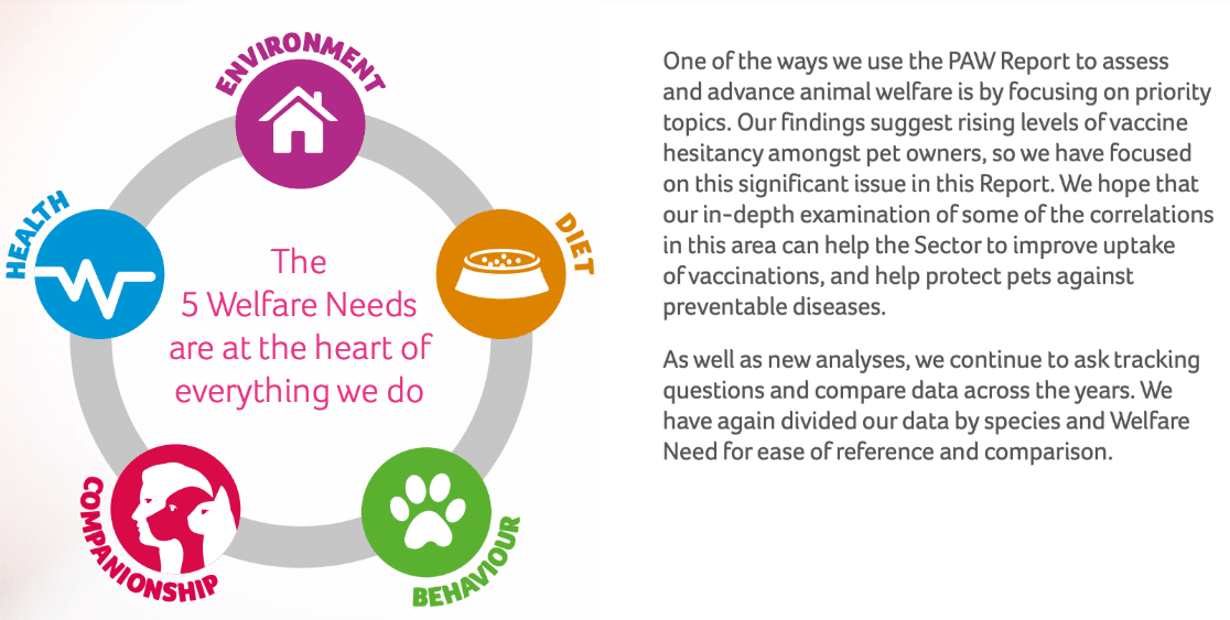 survey reports examples for better decision making