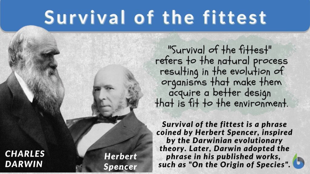 survival of the fittest examples in nature