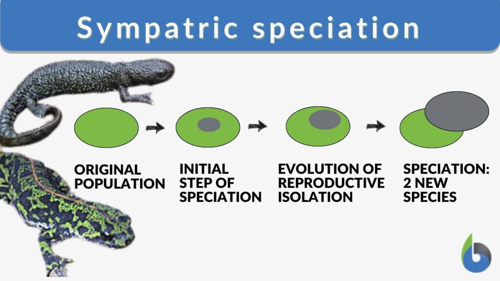 sympatric speciation examples in nature