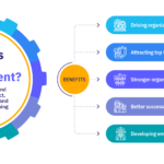 talent management real world examples and strategies