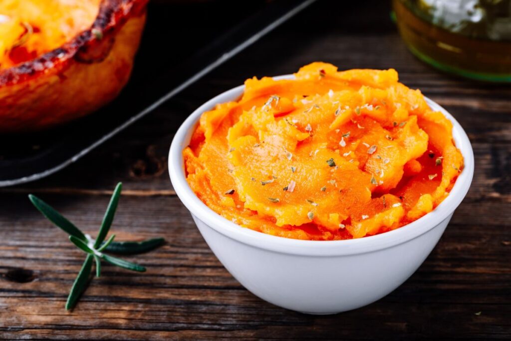 tasty pureed food recipes for adults easy nutritious ideas