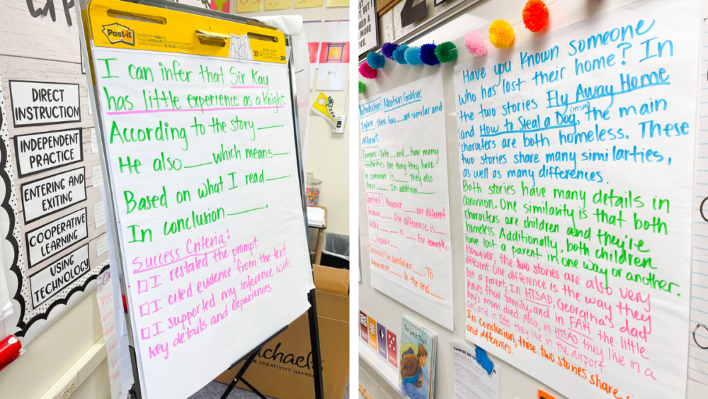 teaching multiple examples of the and a for clarity