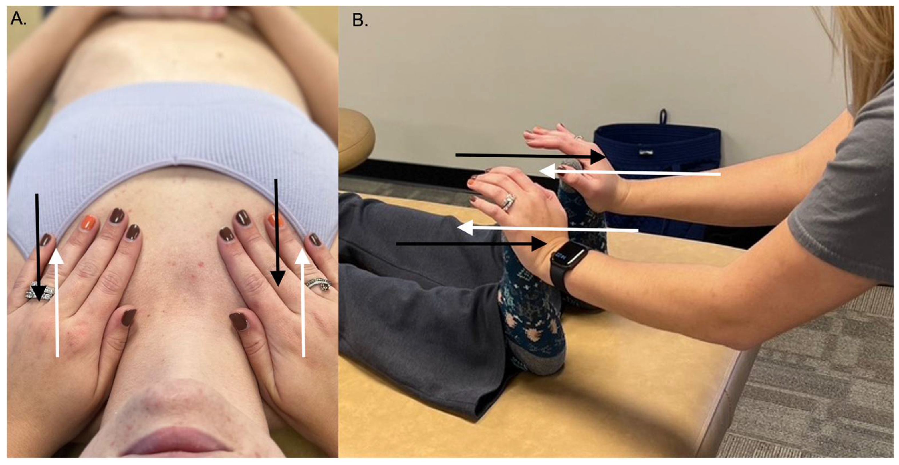techniques in osteopathic manipulative medicine