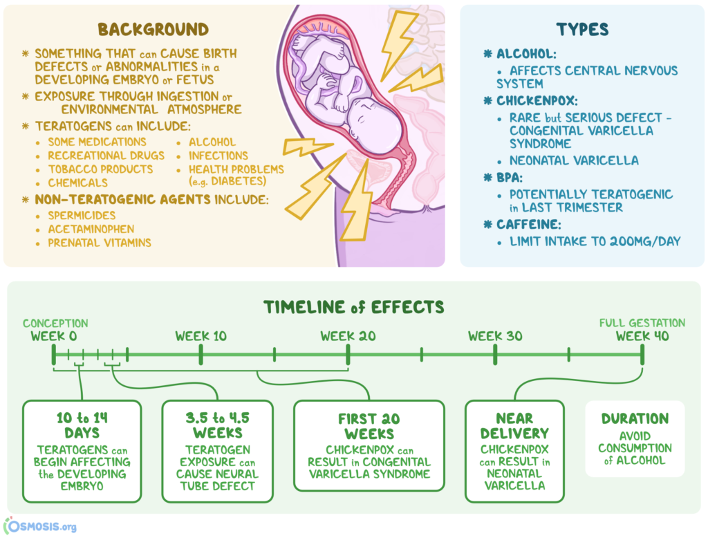 teratogen examples to protect your babys development