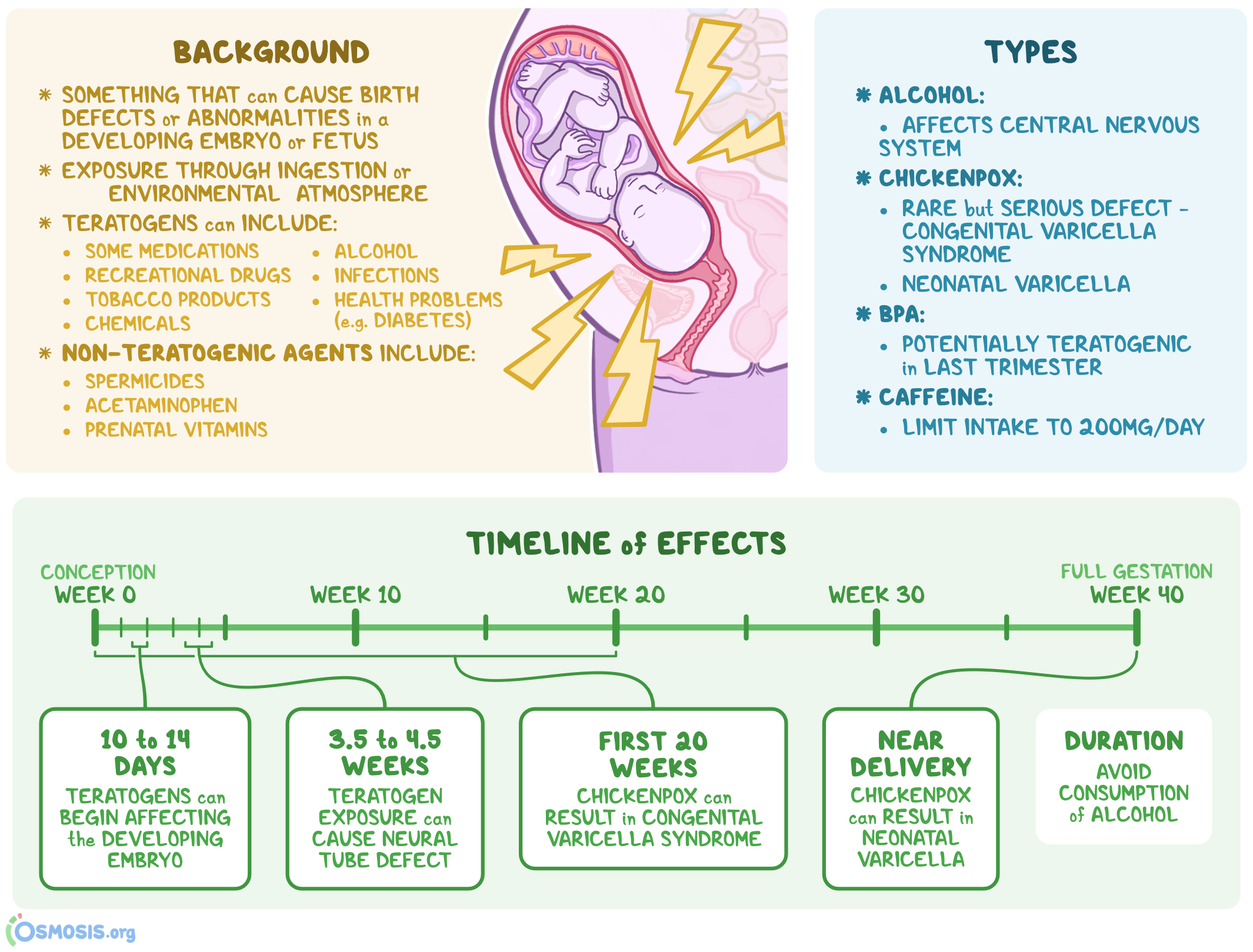 teratogen examples to protect your babys development