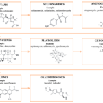 tetracycline and ampicillin are examples of effective antibiotics