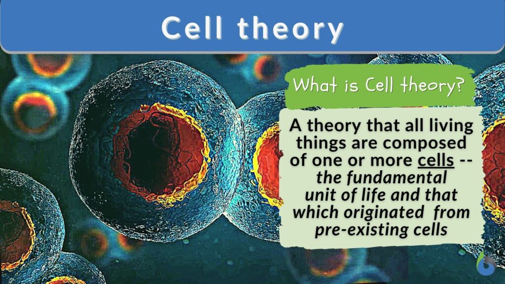 three examples of cell theorys impact on todays world