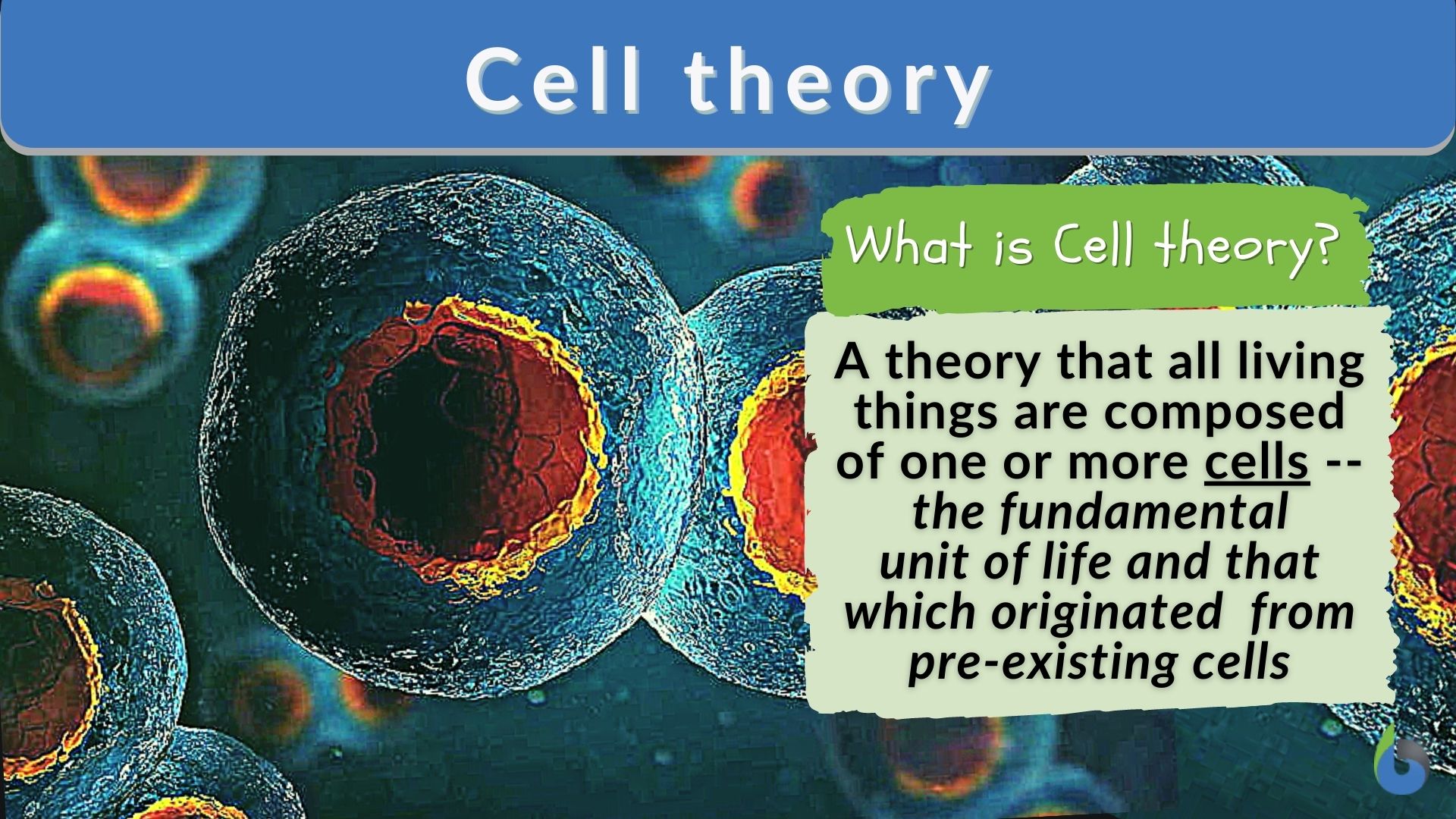 three examples of cell theorys impact on todays world