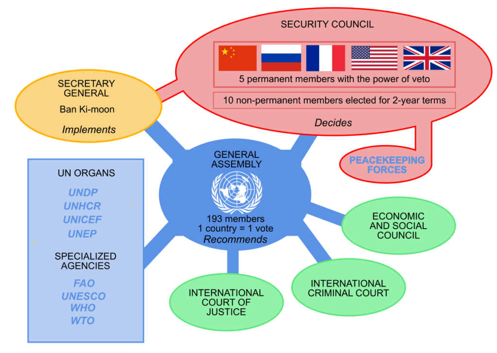 traits of international organizations you should know