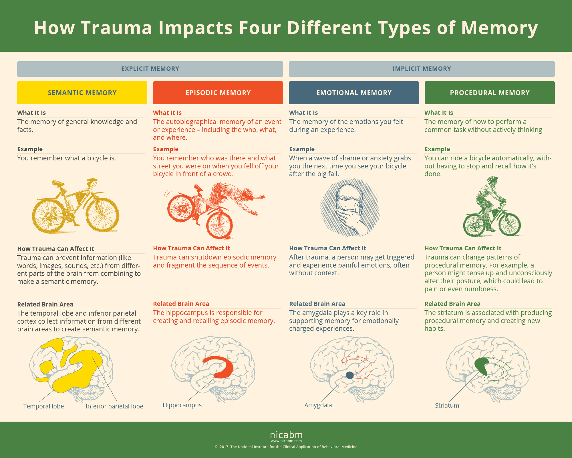 trauma definition key examples and insights