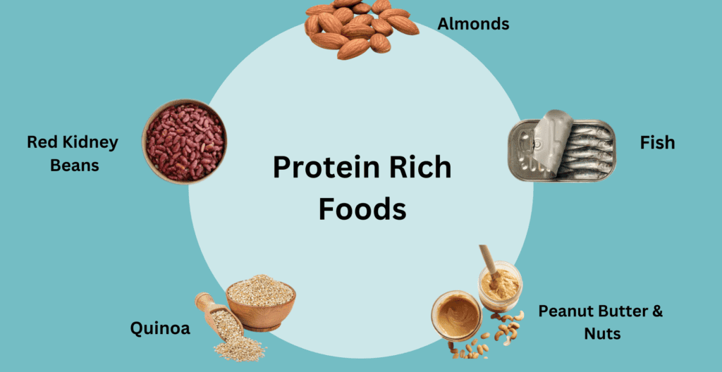 true statements about sources of protein key examples