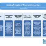 Trustworthy Examples You Can Rely On for Informed Choices trustworthy examples you can rely on for informed choices