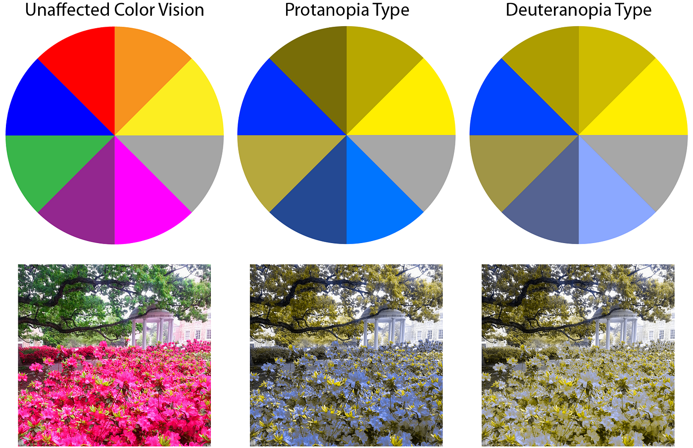 types of color blindness and their impact