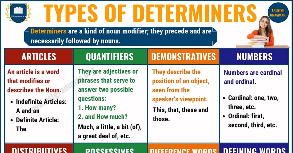 types of determiners key examples explained