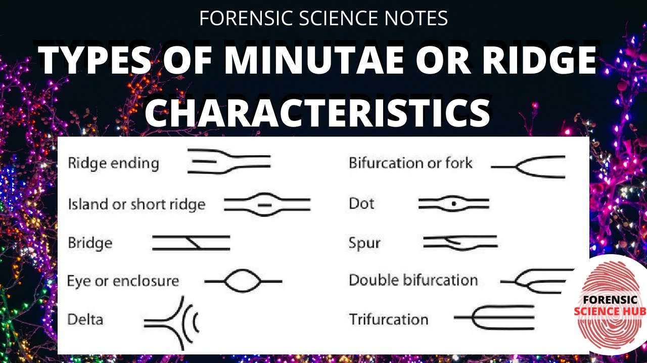 types of fingerprints key characteristics and examples