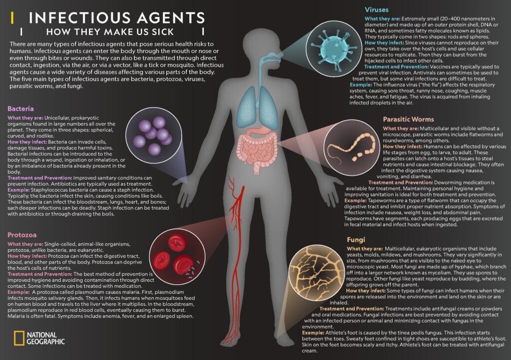 types of pathogens and their associated diseases