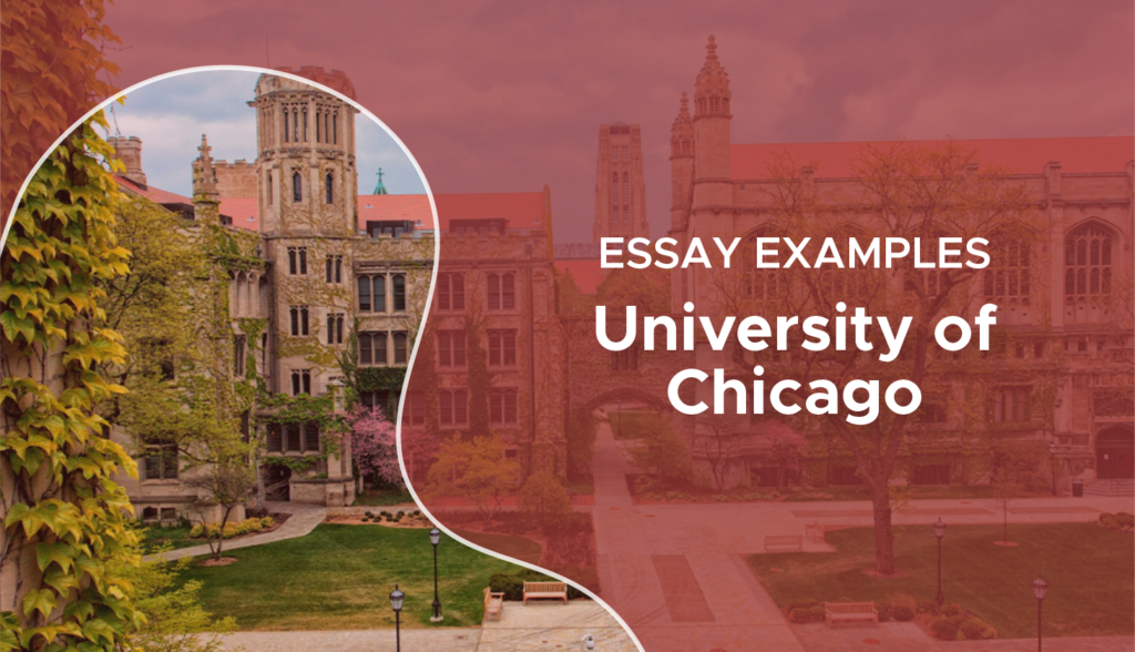 uchicago essay examples to inspire your application