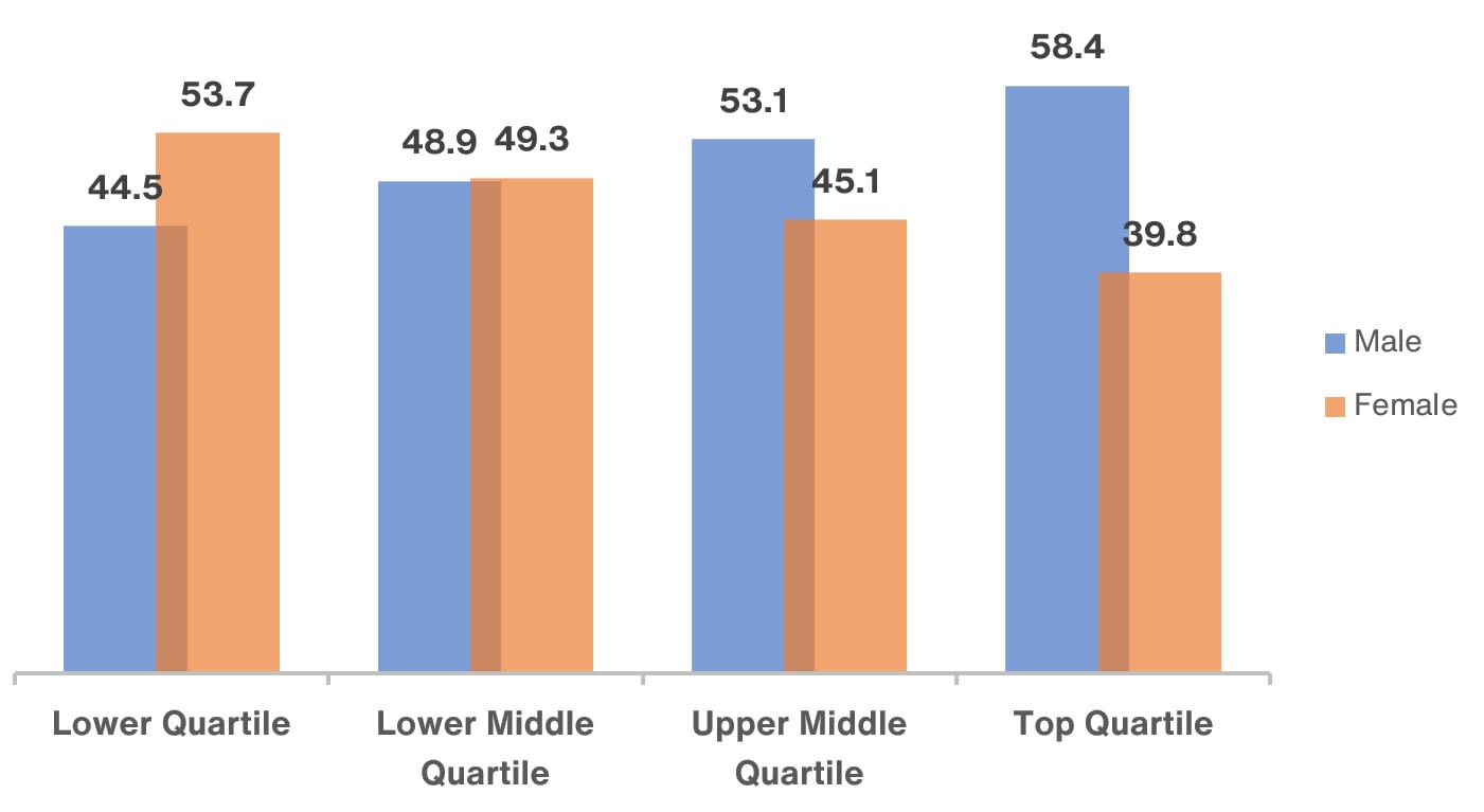 uk gender pay gap key examples and insights