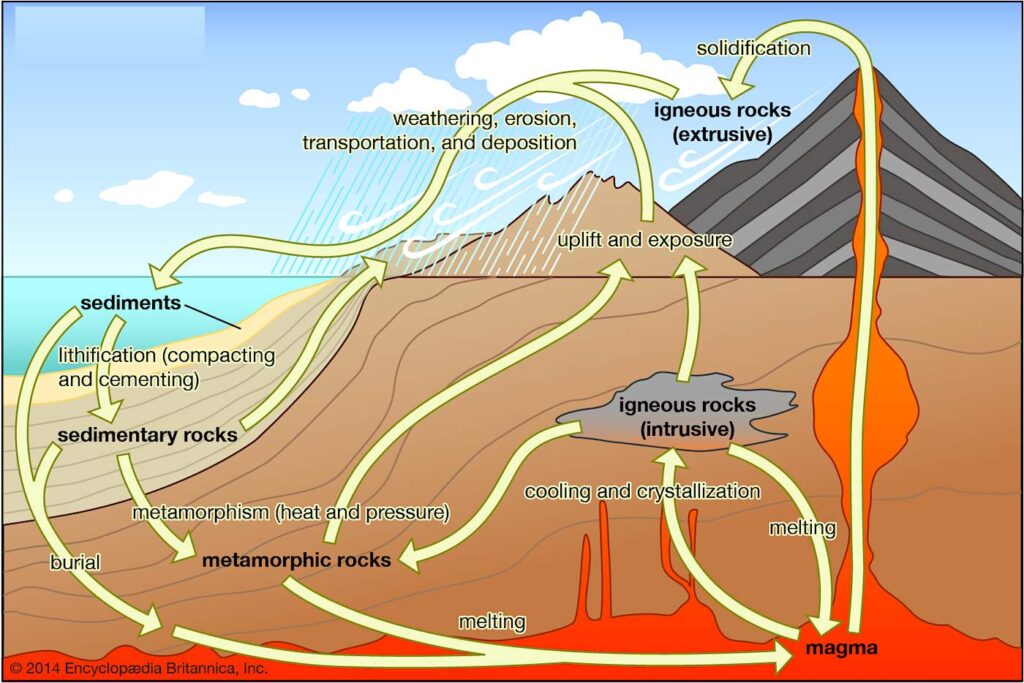 uniformitarianism examples in geology and biology
