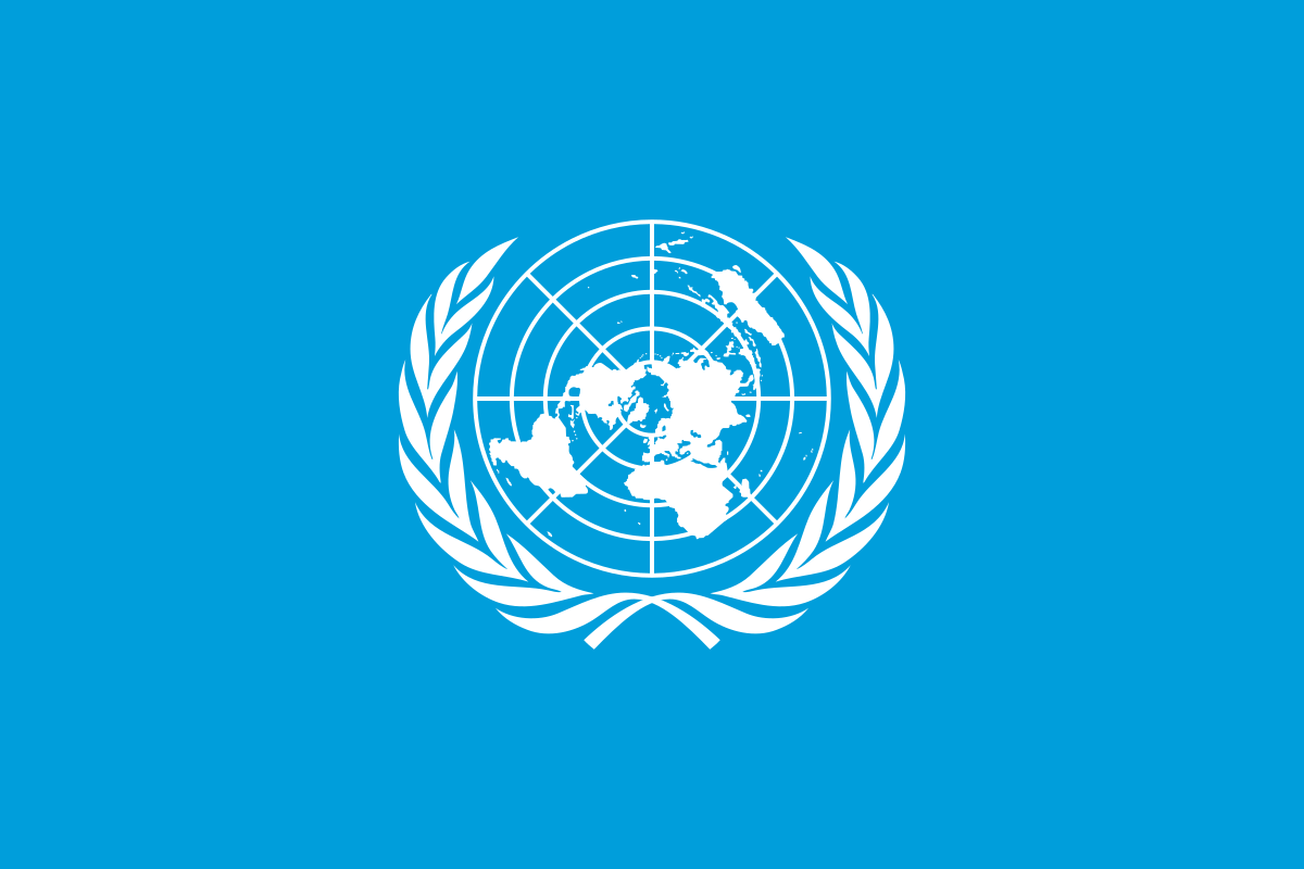 united nations definition key examples