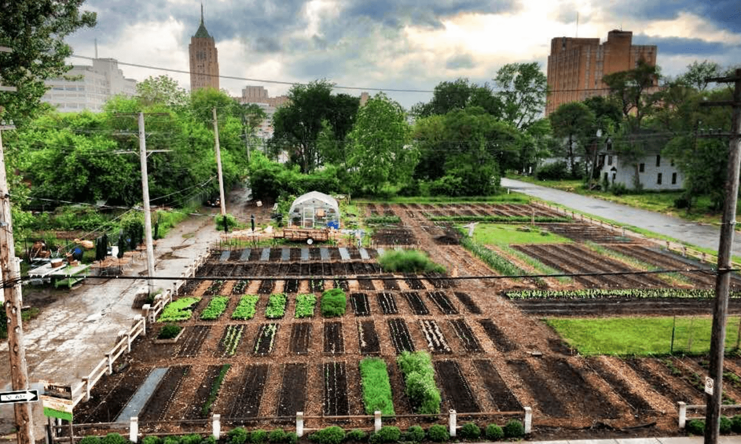 urban farming examples transforming city landscapes