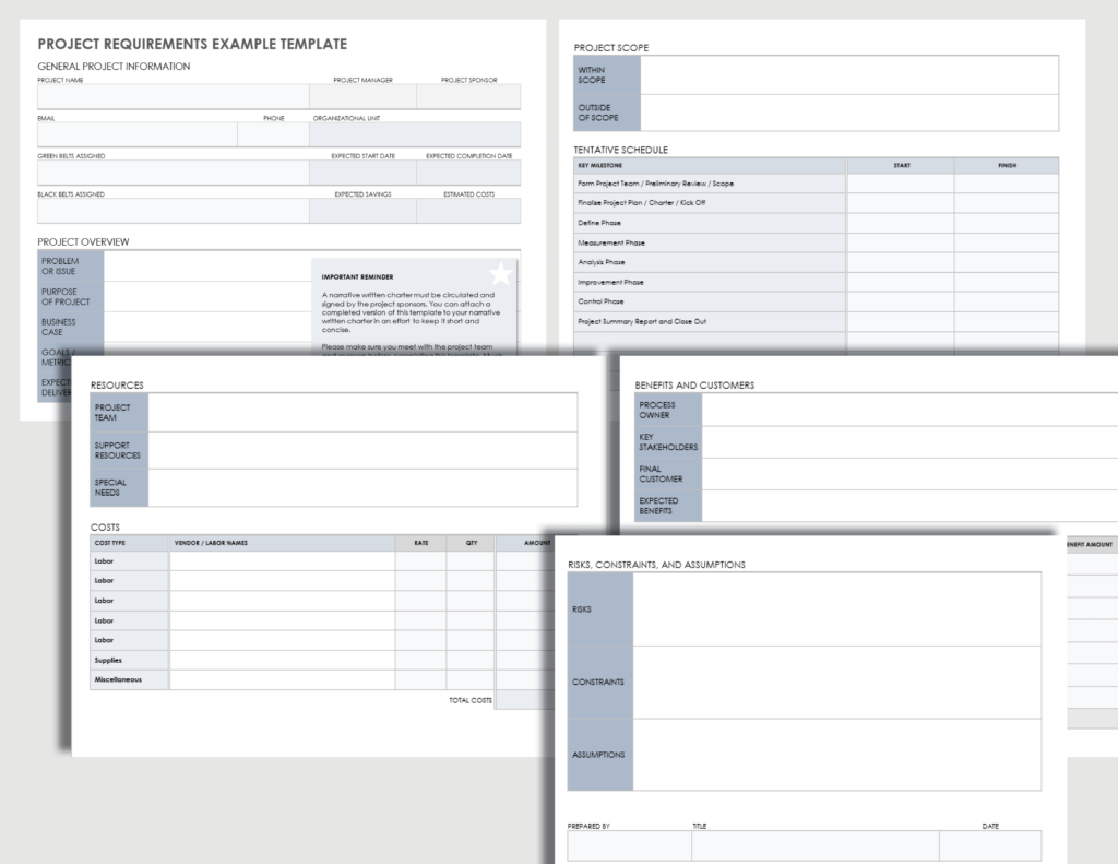user requirements example for successful projects