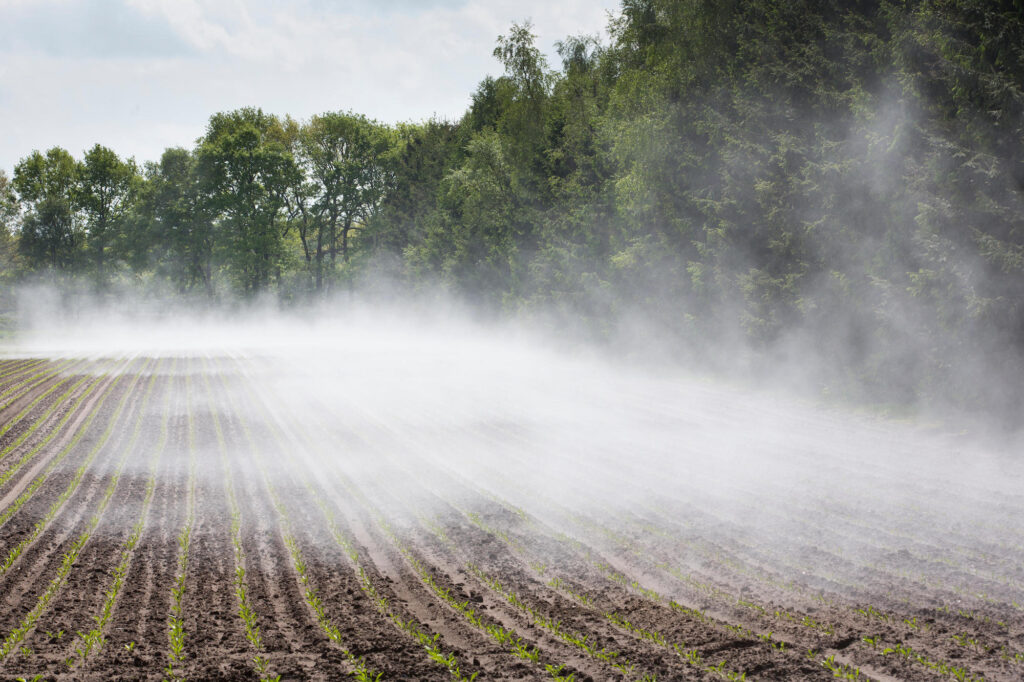 vapor examples in daily life and nature