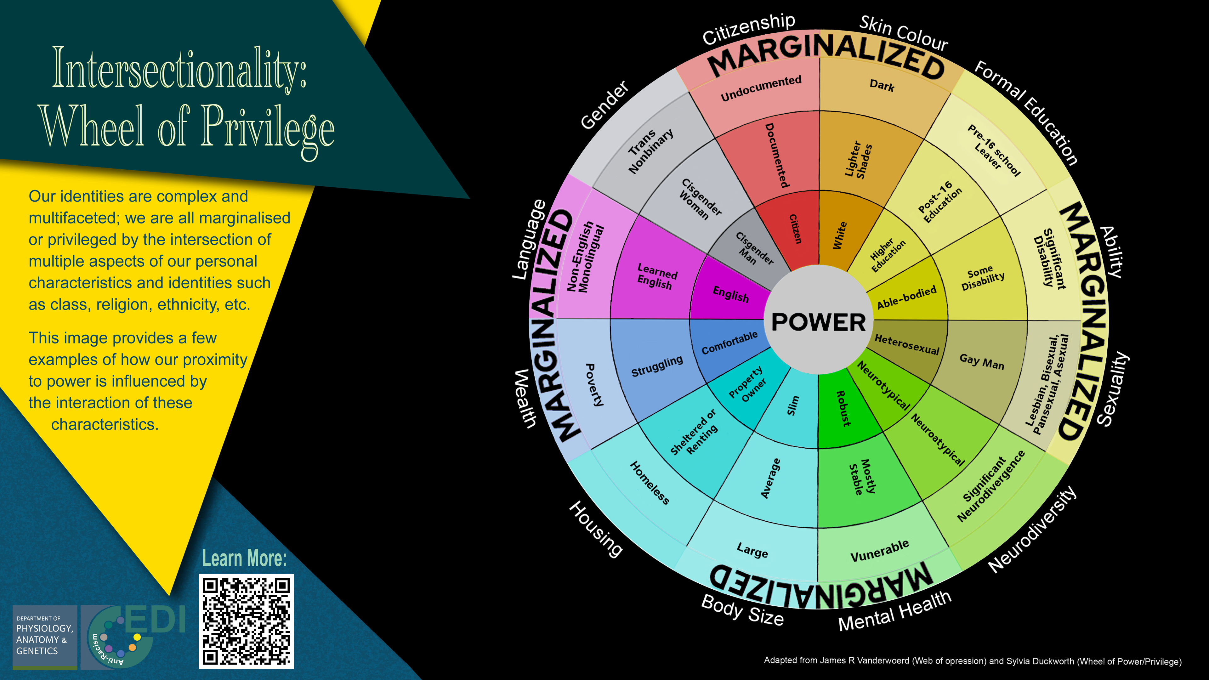 various types of privilege in society