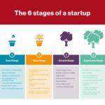 Venture Capitalist Examples Driving Startup Success venture capitalist examples driving startup success