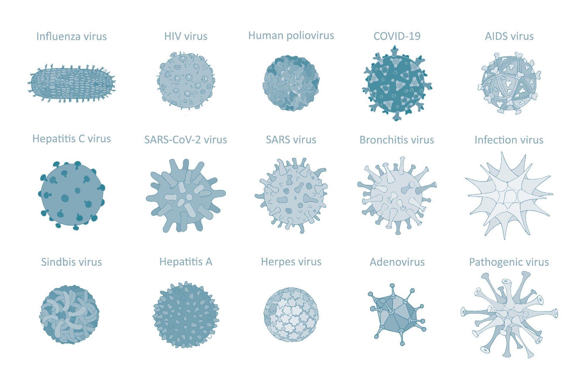 Viruses Examples And Their Impact On Health