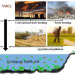 VOC: Examples and Health Impacts Explained voc examples and health impacts explained