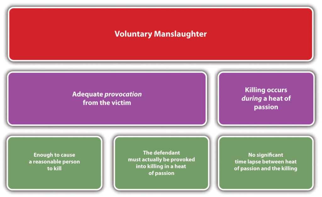 voluntary manslaughter examples and their impacts