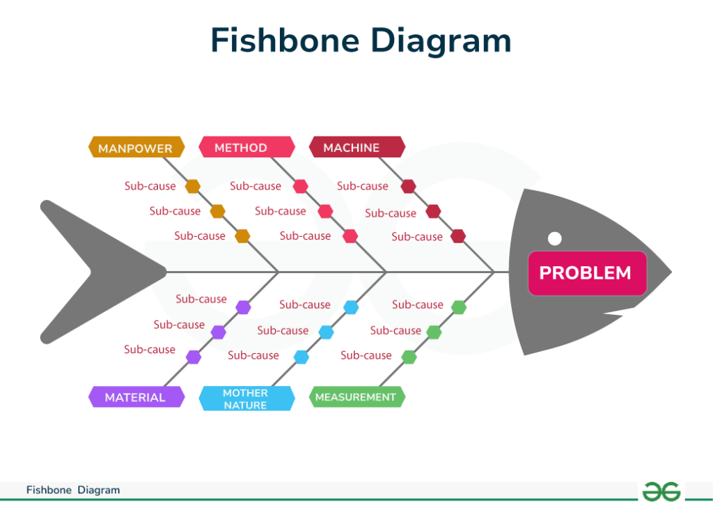 web of causation key examples explained