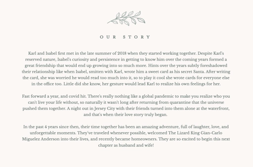 wedding website our story examples to share love