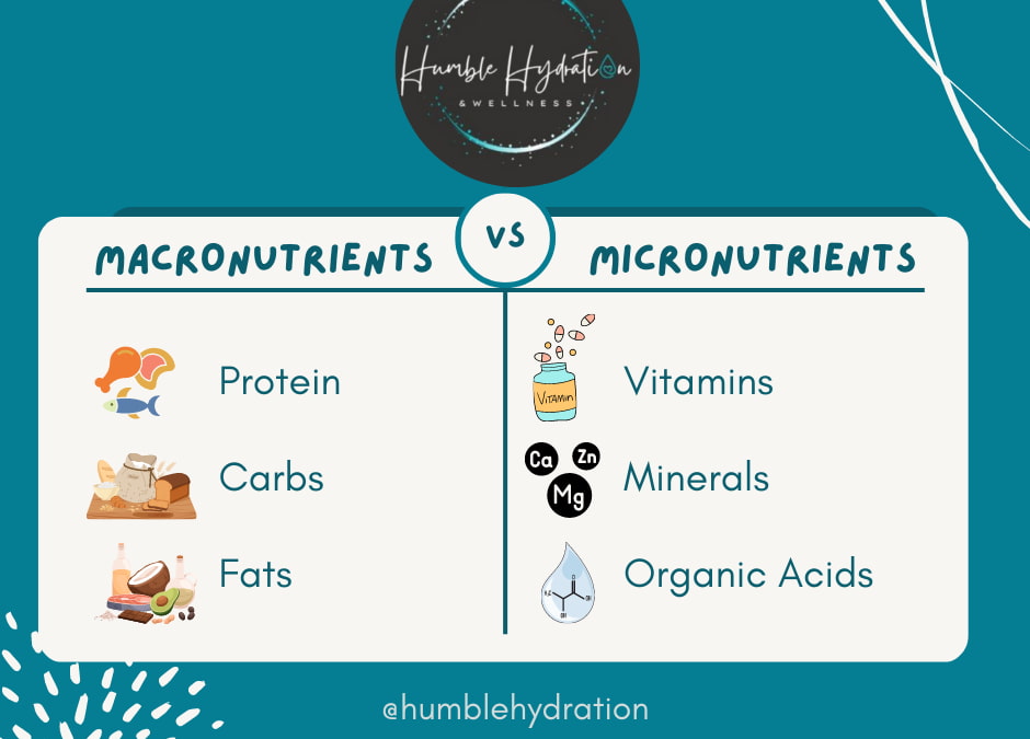 what are macronutrients key examples explained
