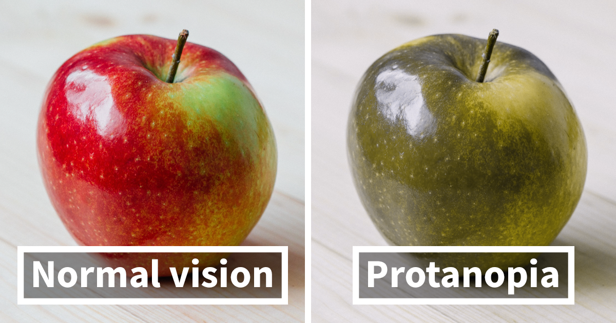 what do colorblind people see real life examples explained