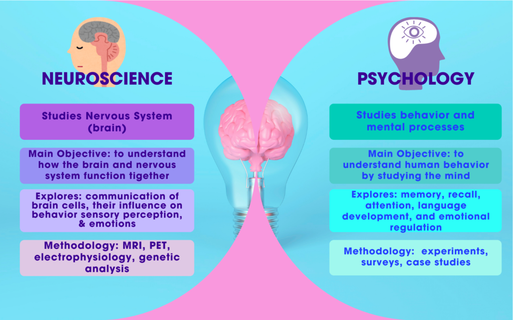 what do neuroscientists do key roles and research examples