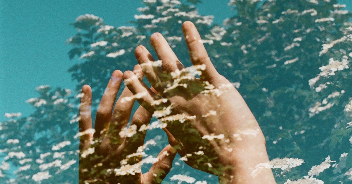 what do people with schizophrenia see real life examples