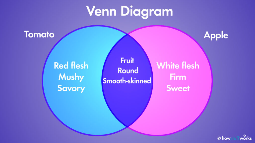 what does a diagram look like examples explained