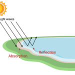 What Happens to a Wave When the Energy is Absorbed? Examples what happens to a wave when the energy is absorbed examples