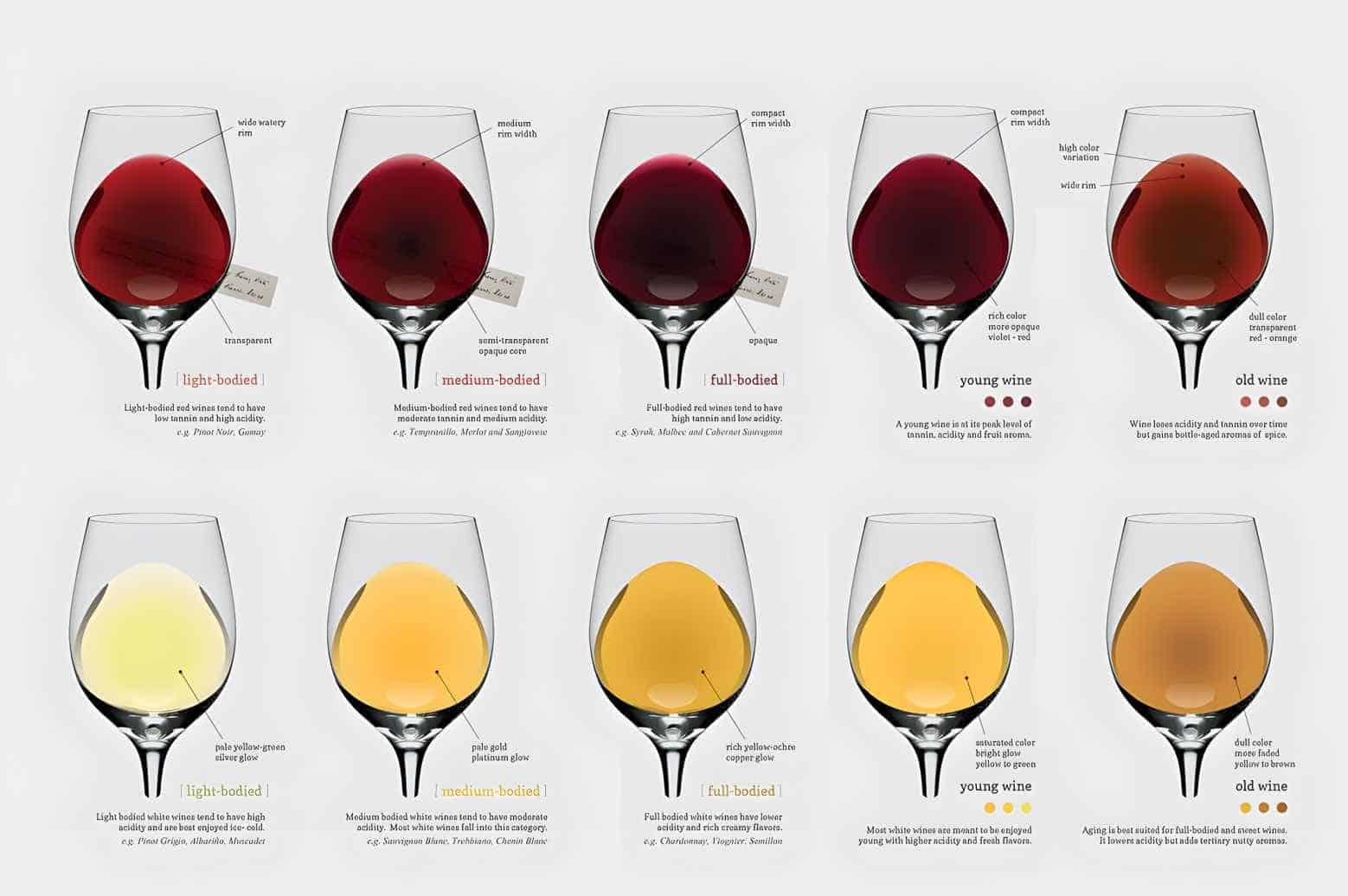 what is a dry red wine key examples explained