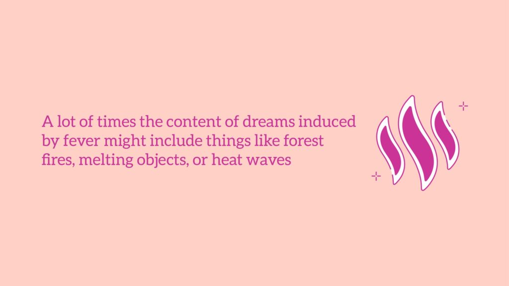 what is a fever dream key examples explained