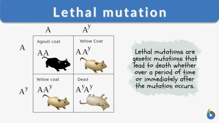 Harmless Mutations Examples What Is a Harmful Mutation: Key Examples