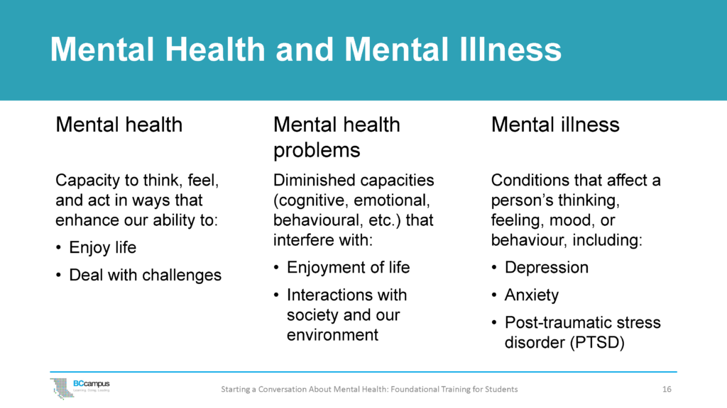 what is a mental health crisis key examples