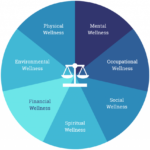 What Is a Wellness Company: Key Examples what is a wellness company key examples