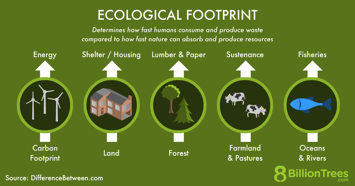what is an ecological footprint key examples