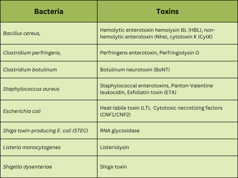 What is an Example of a Biological Hazard