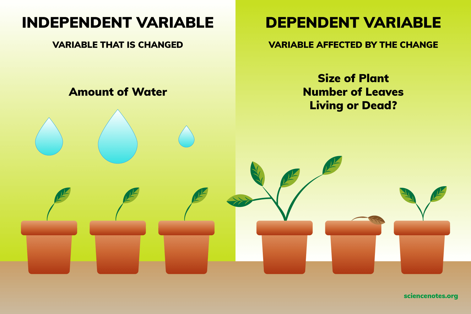 what is an independent variable key examples