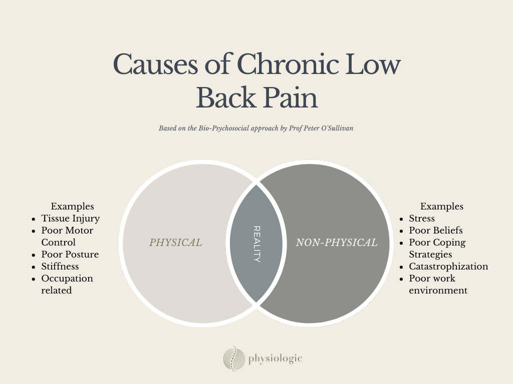 what is chronic pain symptoms and examples